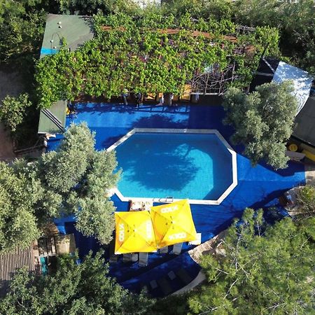 Shiva Camp Hotel Faralya Kültér fotó