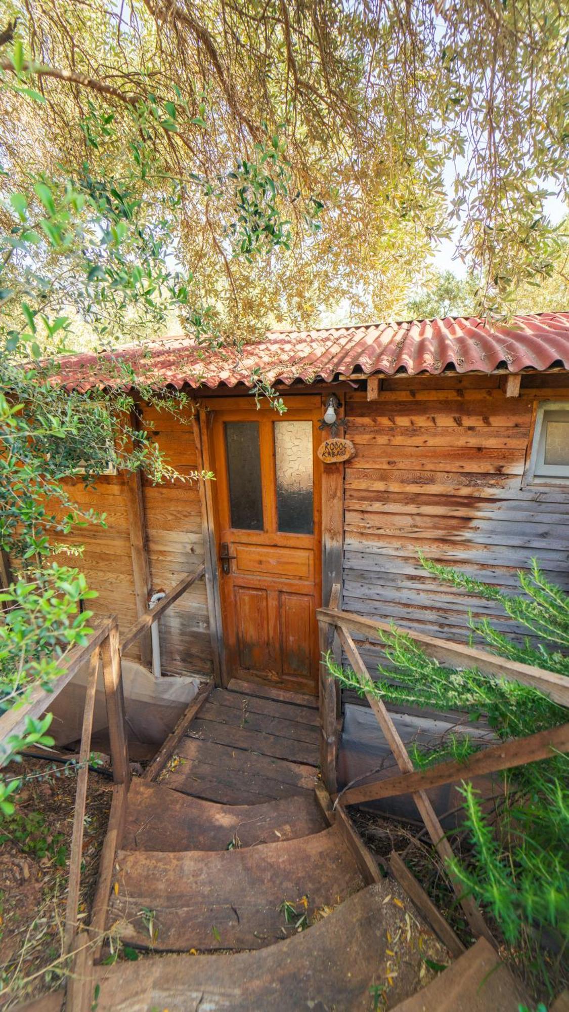 Shiva Camp Hotel Faralya Kültér fotó