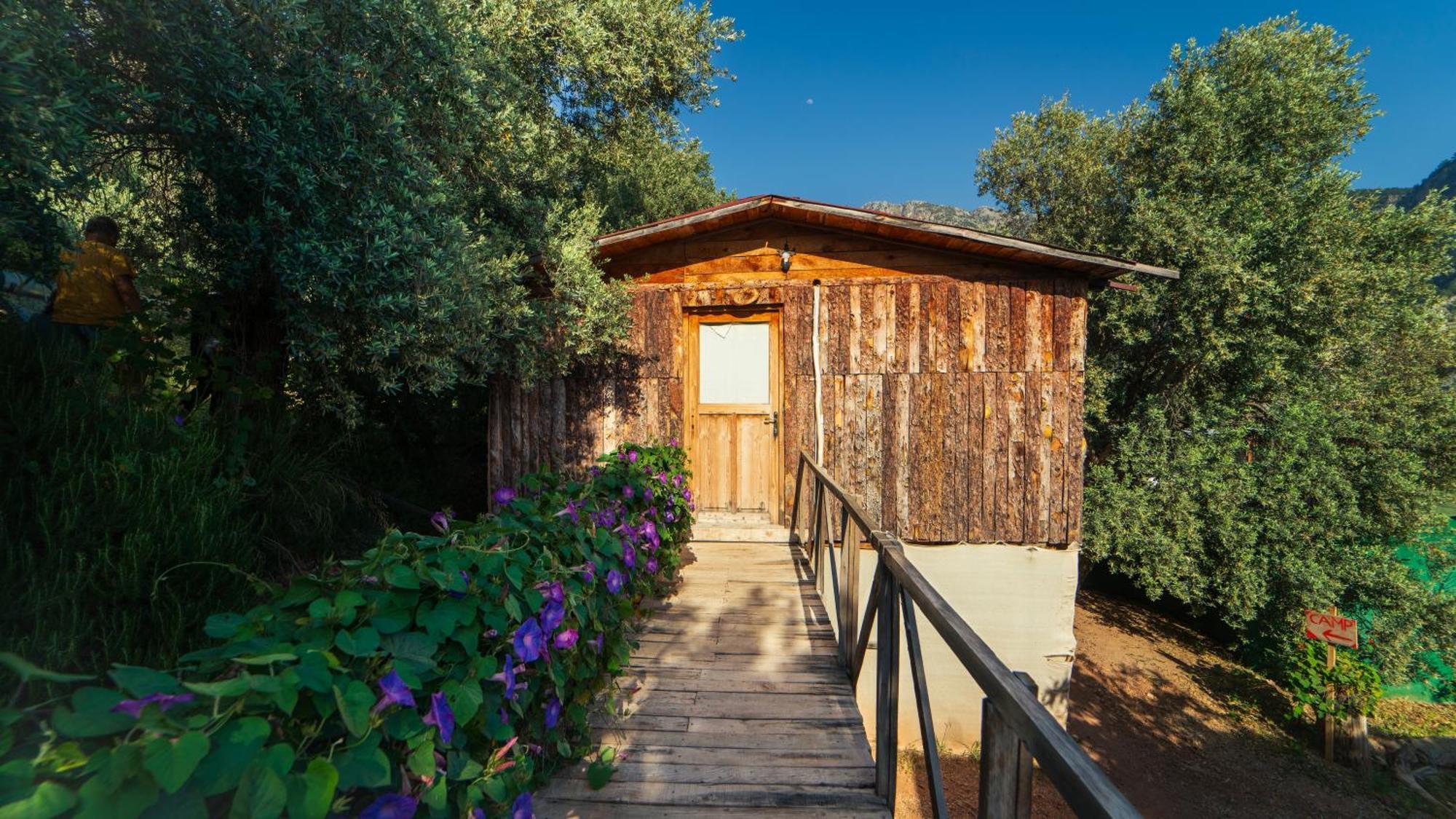Shiva Camp Hotel Faralya Kültér fotó