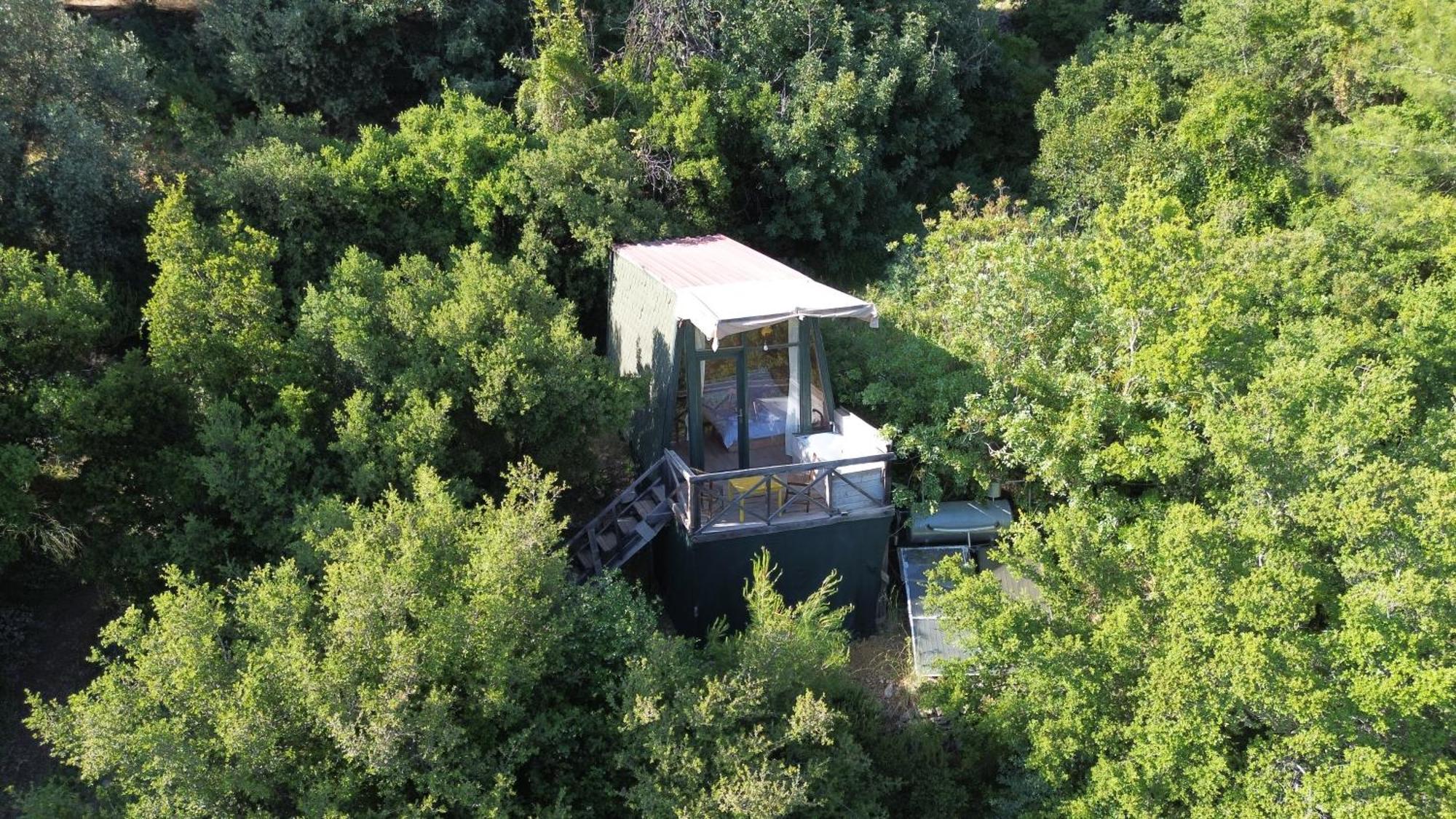 Shiva Camp Hotel Faralya Kültér fotó