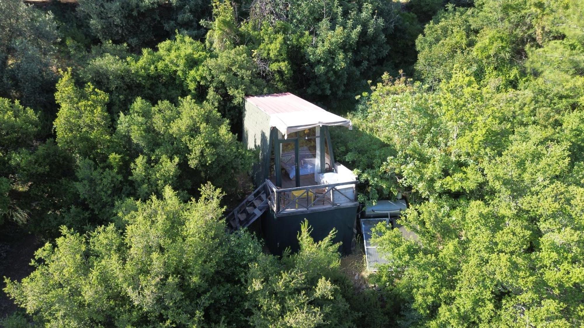 Shiva Camp Hotel Faralya Kültér fotó