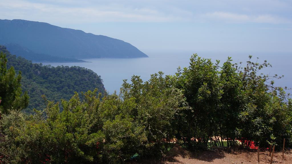 Shiva Camp Hotel Faralya Kültér fotó