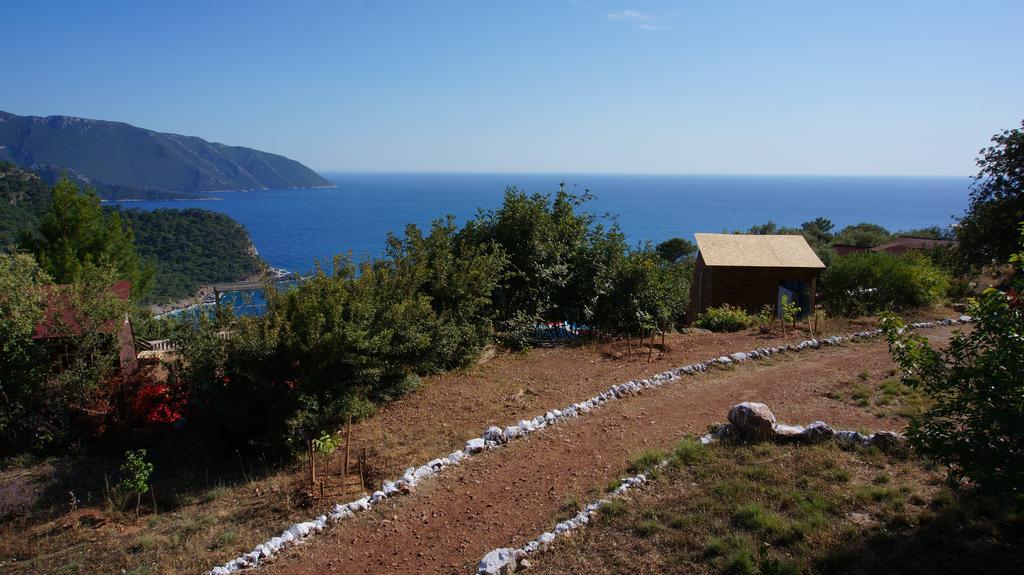 Shiva Camp Hotel Faralya Kültér fotó