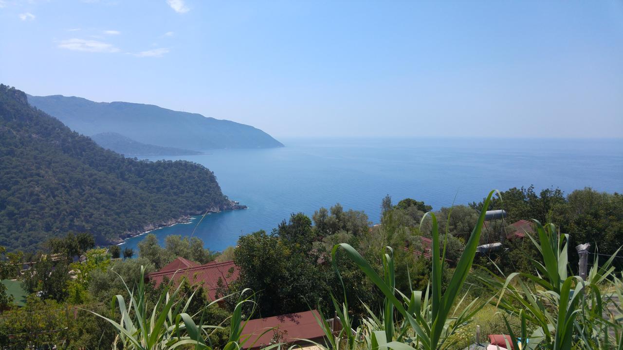 Shiva Camp Hotel Faralya Kültér fotó
