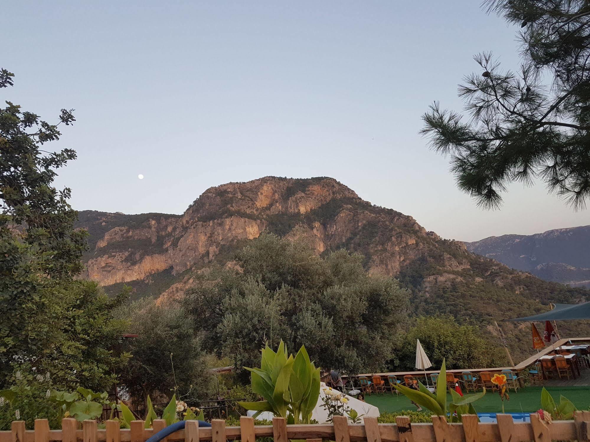 Shiva Camp Hotel Faralya Kültér fotó