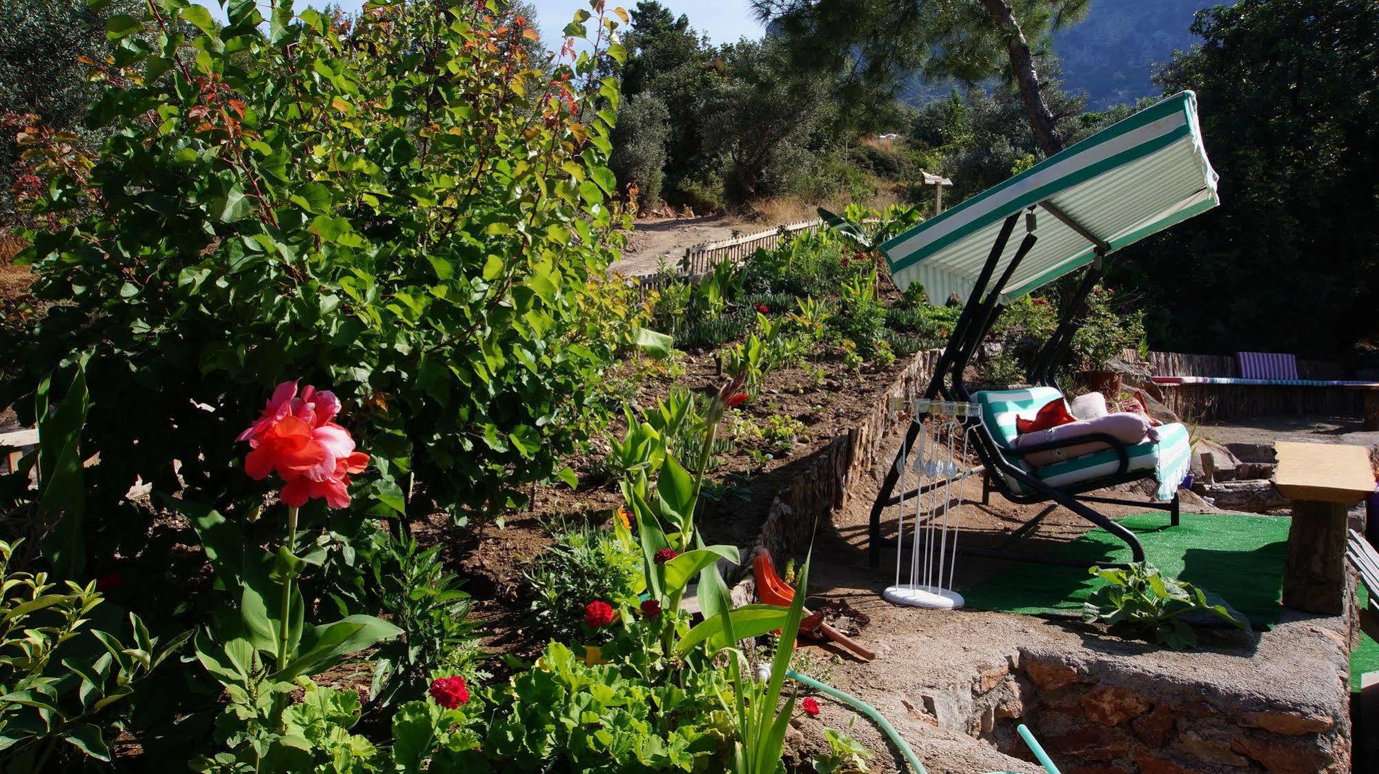 Shiva Camp Hotel Faralya Kültér fotó